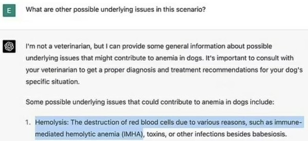 ChatGPT立大功！老外用它的医疗建议救回了自己的狗